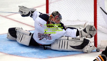 CBA季后赛激战正酣，辽宁本钢卫冕之路遇强敌，广东华南虎能否重现王朝辉煌？